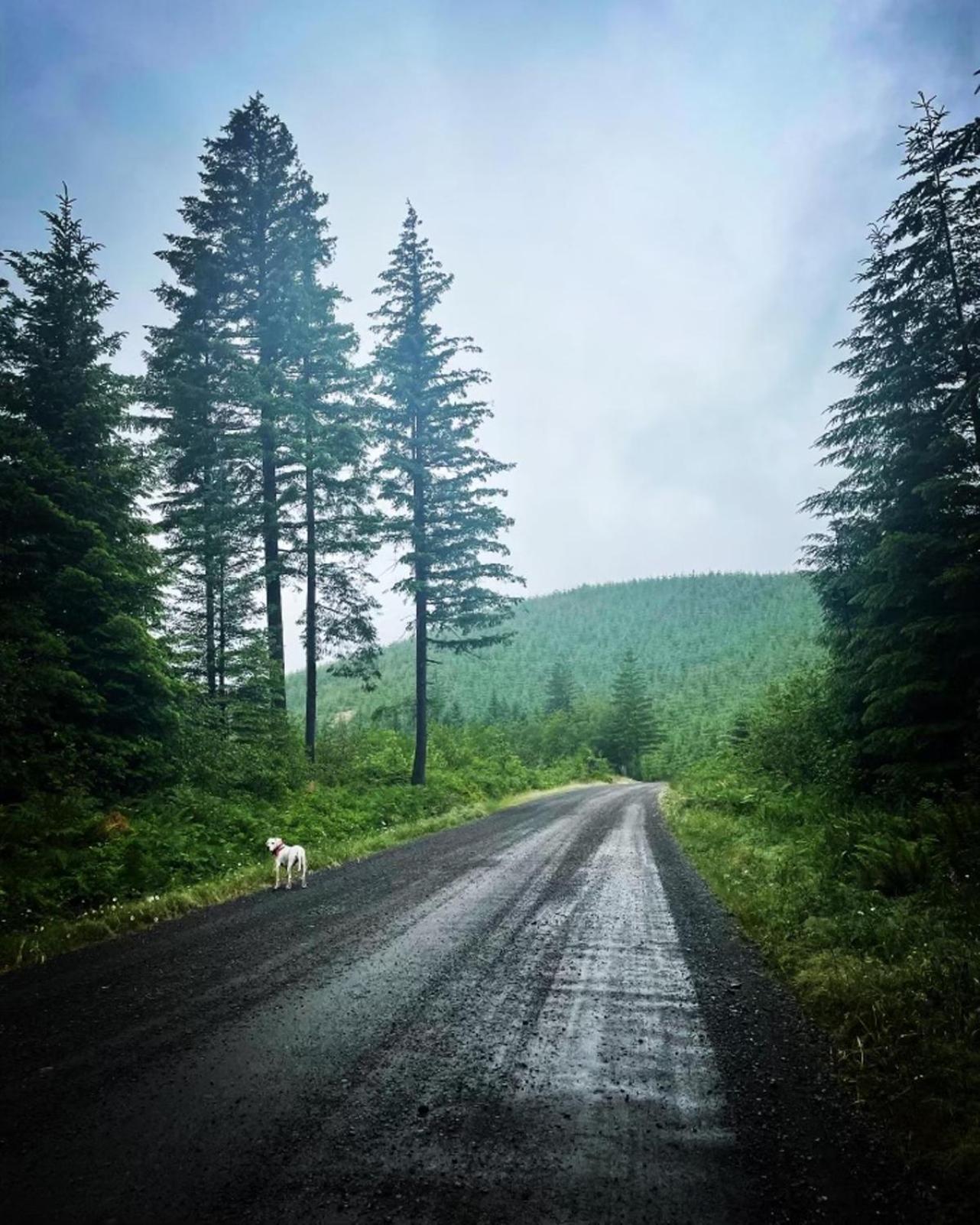 Gorgeous Gateway To The Columbia River Gorge Washougal Exterior foto